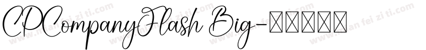 CPCompanyFlash Big字体转换